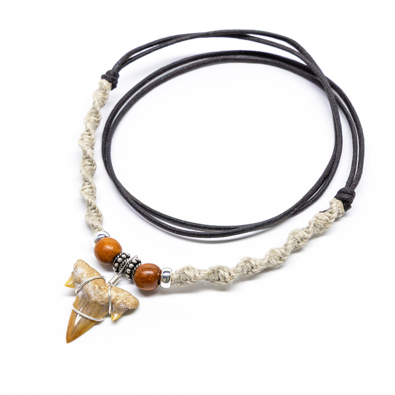 サメの歯の化石　セット　ウルトラセール 新着化石 サメの歯3点セット | 化石セブンの最新情報