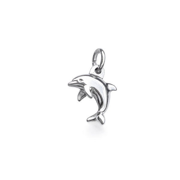 Silver accessory mini dolphin