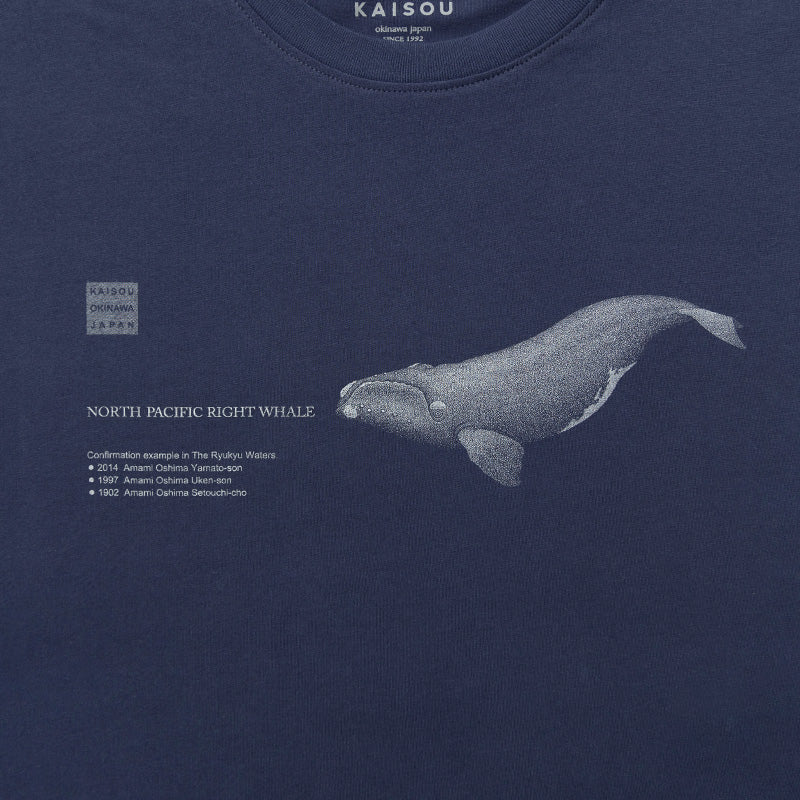 【Coach】Whale T Shirt In Organic Cotton ◆国内発送◆ Coach】Whale T Shirt In Organic Cotton ◇国内発送◇