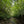 Load image into Gallery viewer, Yanbaru