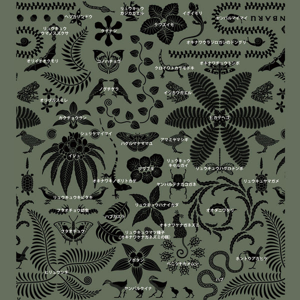 短褲,來自海洋的