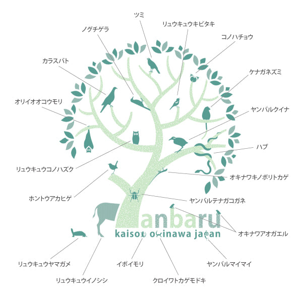 オーガニックコットン+カポックTシャツ Yanbaru