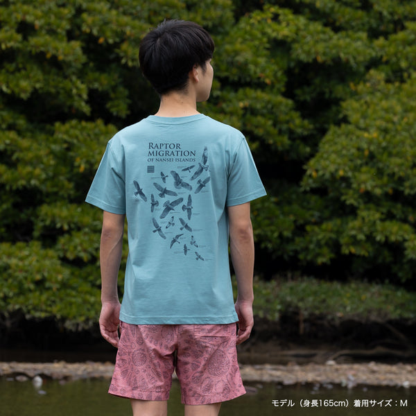 オーガニックコットンTシャツ タカの渡り