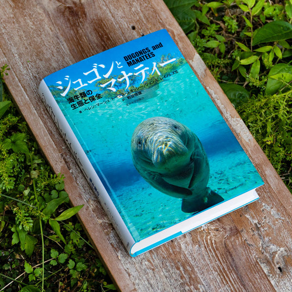 ジュゴンとマナティー 海牛類の生態と保全