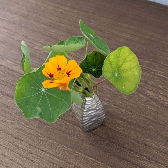 琉錫 一輪挿 スーティーチャー