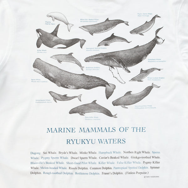 オーガニックコットンTシャツ マリンママルズ