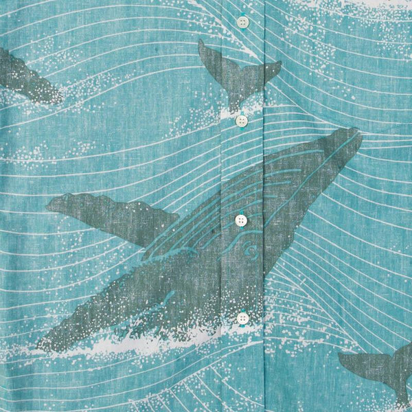 ザトウクジラ