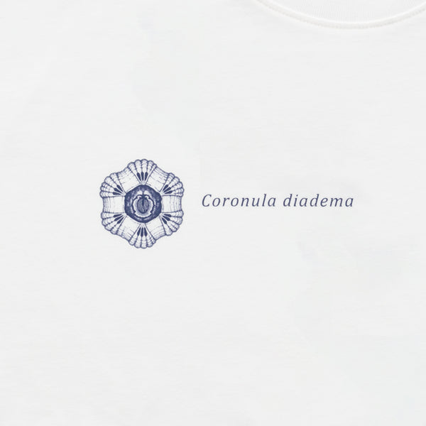 Organic Cotton Long Sleeve T-shirts R-8