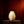 画像をギャラリービューアに表示