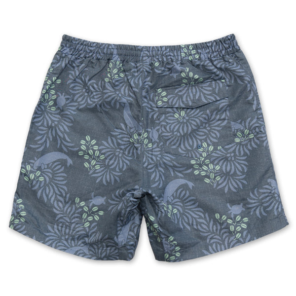 Shorts, a gift from the sea.