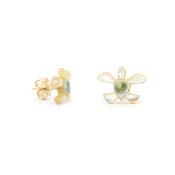 夜光貝  子ガメピアス