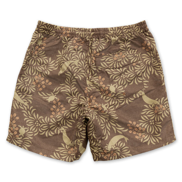 Shorts, a gift from the sea.