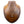 画像をギャラリービューアに表示
