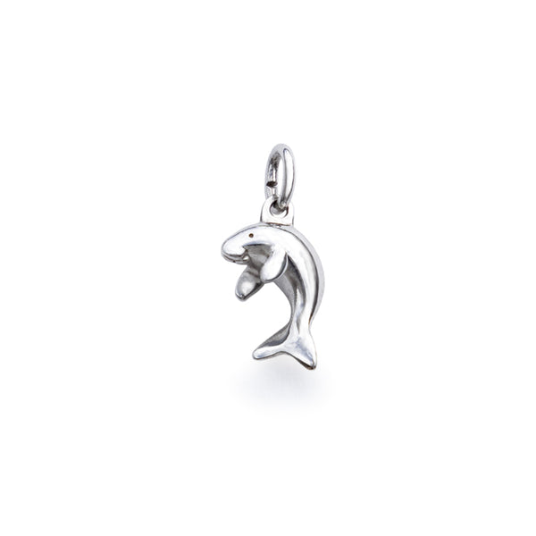 Accesorios de plata mini dugong