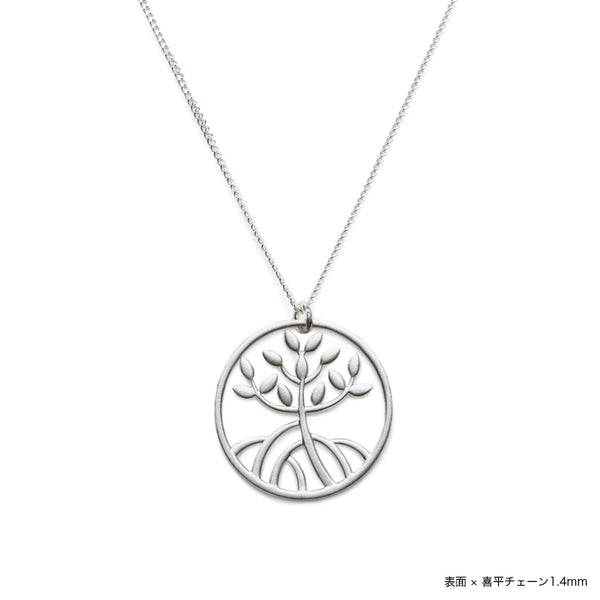 Anillo de manglar Top