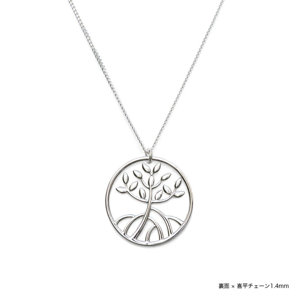 Anillo de manglar Top