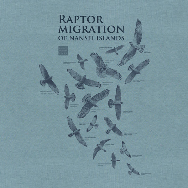 Raptor migration