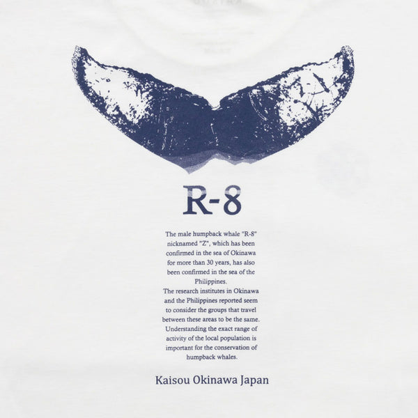 オーガニックコットンTシャツ　R-8　（ORGABITS）