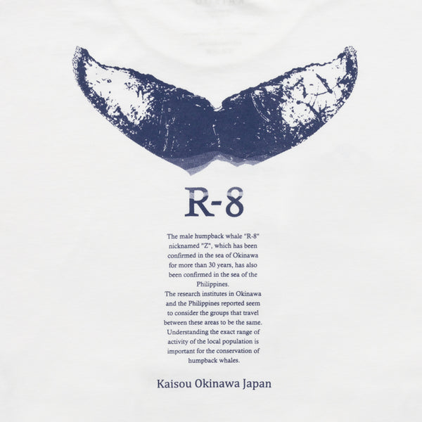 Organic Cotton Long Sleeve T-shirts R-8