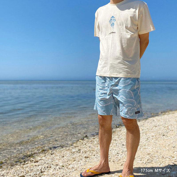 短裤菊花琉球珊瑚
