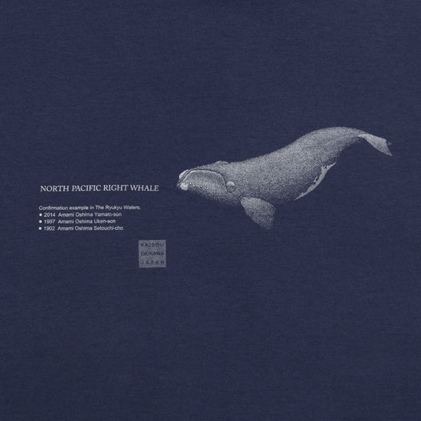 オーガニックコットンTシャツ　セミクジラ